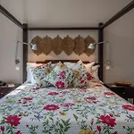 Fazenda Nova *