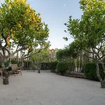 Fazenda Nova