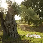 Fazenda Nova