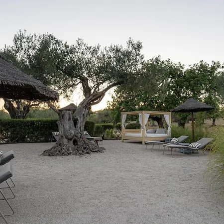 Fazenda Nova * Tavira