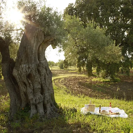 Fazenda Nova