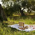 Fazenda Nova