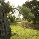 Fazenda Nova בית כפרי