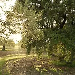 Fazenda Nova טאווירה